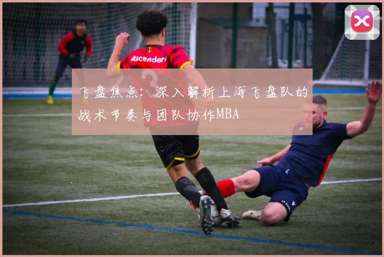 飞盘焦点：深入解析上海飞盘队的战术节奏与团队协作MBA