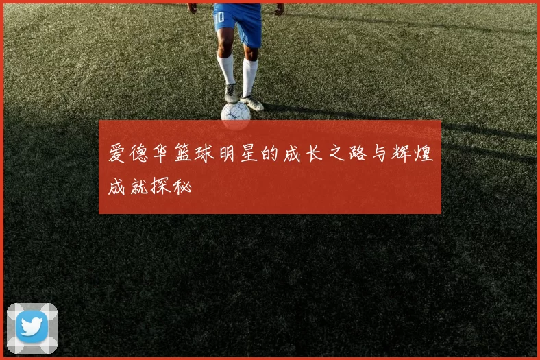 爱德华篮球明星的成长之路与辉煌成就探秘